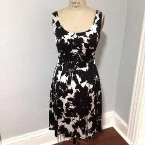 Ann Taylor Dress. NWT